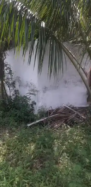 Arulmigu Valvagai Sastha Temple, Near Via Thitta Pillayar Street, Tenkasi - 627811