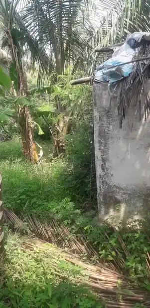 Arulmigu Valvagai Sastha Temple, Near Via Thitta Pillayar Street, Tenkasi - 627811 அருள்மிகு வால்வகை சாஸ்தா பாலாவுடையார் திருக்கோயில், -, Tenkasi - 627811, Tenkasi - Ancient Temple Architecture and History Image 4