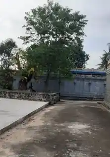 Arulmigu Vamanapurieswarar Temple, Thirumanikuzhi - 607401 அருள்மிகு வாமனபுரீஸ்வரர் திருக்கோயில், திருமாணிக்குழி - 607401, Cuddalore - Ancient Temple Architecture and History Image 4