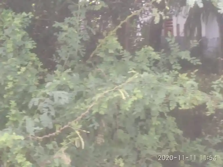 Arulmigu Vanamoorthi Manthira Moorthi Swamy Temple, Puthugramam, Theroor - 629704 அருள்மிகு வனமூர்த்தி மந்திரமூர்த்தி சுவாமி திருக்கோயில், Puthugramam, Theroor - 629704, Kanyakumari - Ancient Temple Architecture and History Image 4