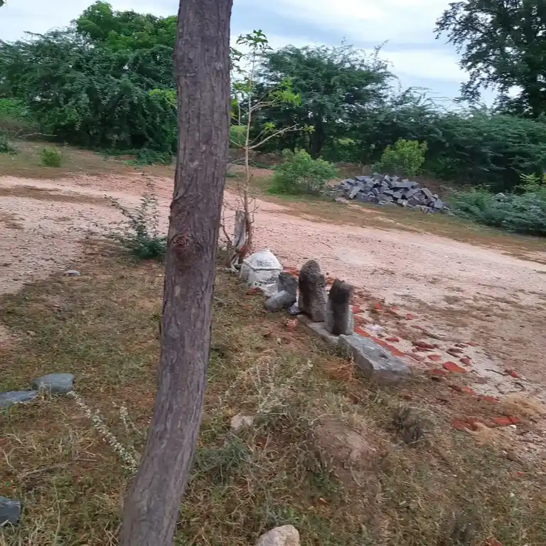 Arulmigu Vanathayi Amman Temple, Periyakodunthurai - 621105 Arulmigu Vanathayi amman Temple, Periyakodunthurai - 621105, Thiruchirappalli - Ancient Temple Architecture and History Image 3