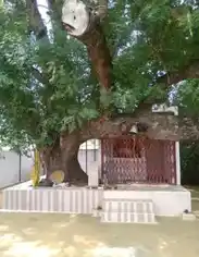 Arulmigu Vanavengataperumal Temple, Pallakarai. - 638052 Temple