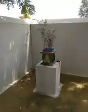 Arulmigu Vanavengataperumal Temple, Pallakarai. - 638052 அருள்மிகு வனவேங்கடபெருமாள் திருக்கோயில், பாலக்கரை - 638052, Erode - Ancient Temple Architecture and History Image 5