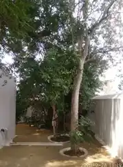 Arulmigu Vanavengataperumal Temple, Pallakarai. - 638052 அருள்மிகு வனவேங்கடபெருமாள் திருக்கோயில், பாலக்கரை - 638052, Erode - Ancient Temple Architecture and History Image 6