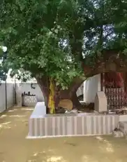 Arulmigu Vanavengataperumal Temple, Pallakarai. - 638052 அருள்மிகு வனவேங்கடபெருமாள் திருக்கோயில், பாலக்கரை - 638052, Erode - Ancient Temple Architecture and History Image 9