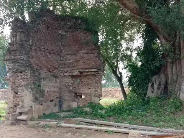 Arulmigu Vancheeswarar Temple, Paalaiyur - 612203 அருள்மிகு வாஞ்சீஸ்வரர் திருக்கோயில், பரமசிவபுரம், Palaiyur - 612203, Mayiladuthurai - Ancient Temple Architecture and History Image 4