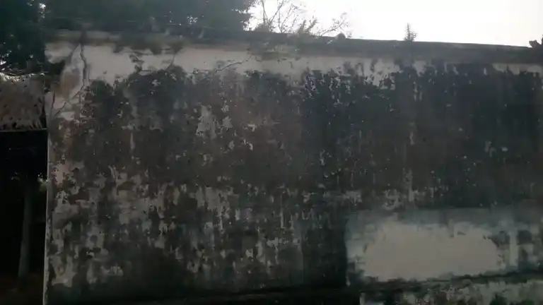 Arulmigu Vaneeswarar Temple, Palamedu - 637503 Arulmigu Vaneeswarar Temple,  - 637503, Namakkal - Ancient Temple Architecture and History Image 3