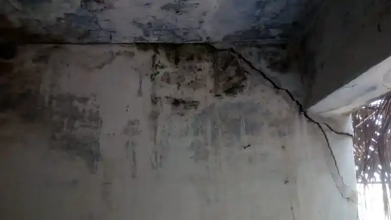 Arulmigu Vaneeswarar Temple, Palamedu - 637503 Arulmigu Vaneeswarar Temple,  - 637503, Namakkal - Ancient Temple Architecture and History Image 4