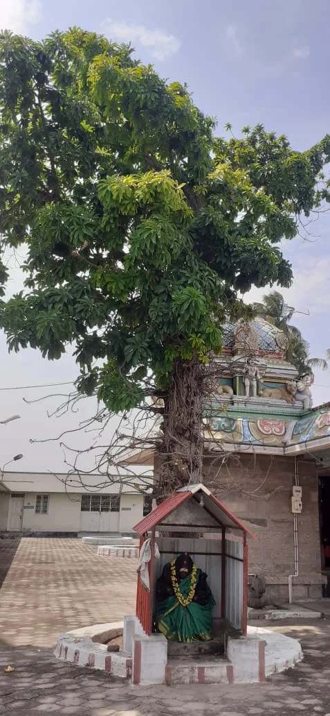 Arulmigu Vangalamman Temple, Vangal - 639116 Arulmigu Vangalamman Temple, Vangal - 639116, Karur - Ancient Temple Architecture and History Image 6