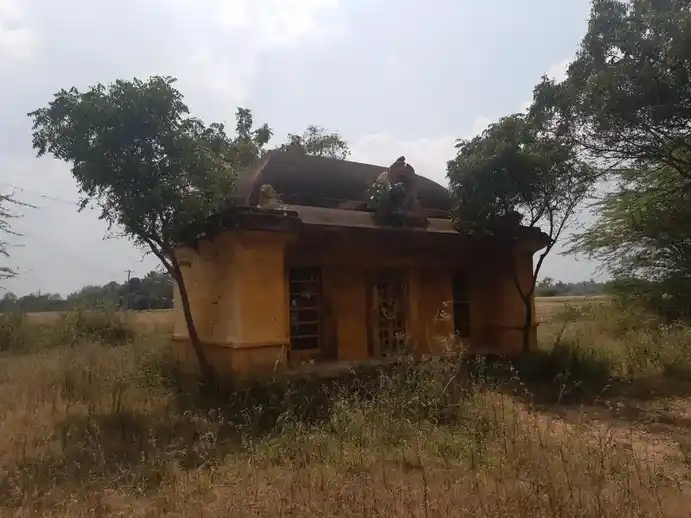 Arulmigu Vangiyamman Temple, Kodikkaloor - 613001 அருள்மிகு வாஞ்சியம்மன் திருக்கோயில், Kodikkaloor - 613001, Thanjavur - Ancient Temple Architecture and History Image 5