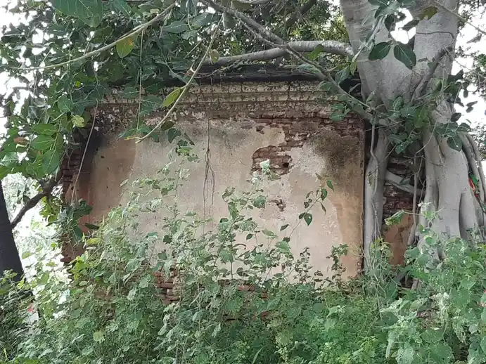 Arulmigu Vanjiyamman Temple, Chitravutthanpalayam - 638673 அருள்மிகு வஞ்சியம்மன் திருக்கோயில், சித்ராவுத்தன்பாளையம் - 638673, Tiruppur - Ancient Temple Architecture and History Image 3