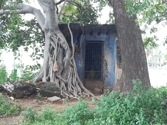 Arulmigu Vanjiyamman Temple, Chitravutthanpalayam - 638673 அருள்மிகு வஞ்சியம்மன் திருக்கோயில், சித்ராவுத்தன்பாளையம் - 638673, Tiruppur - Ancient Temple Architecture and History Image 4