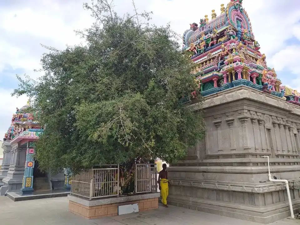 Arulmigu Vanjiyamman Temple, Mulanur, Moolanur/Dharapuram/Tirupur - 638106 அருள்மிகு வஞ்சியம்மன் திருக்கோயில், Mulanur, Tirupur - 638106, Tiruppur - Ancient Temple Architecture and History Image 3