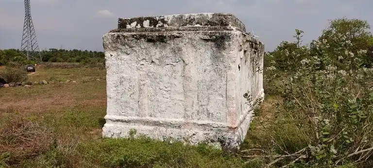 Arulmigu Vankatasaperumal Temple, Kallivalasu - 638657 அருள்மிகு வெங்கடேசபெருமாள் திருக்கோயில், கள்ளிவலசு - 638657, Tiruppur - Ancient Temple Architecture and History Image 4