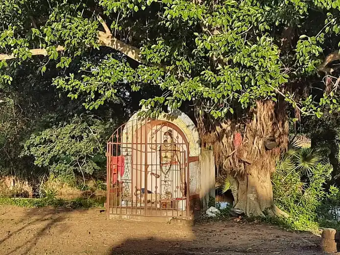 Arulmigu Vanmeega Nathaswamy Temple, Puthankottagam - 614705 அருள்மிகு வன்மீகநாதசுவாமி திருக்கோயில், Puthankottagam - 614705, Thiruvarur - Ancient Temple Architecture and History Image 6