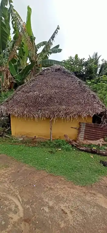 Arulmigu Vanmeeganatha Samy Temple, Varambiam - 614715