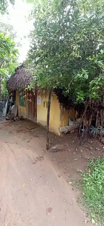 Arulmigu Vanmeeganatha Samy Temple, Varambiam - 614715 அருள்மிகு வன்மீகநாதசுவாமி திருக்கோயில், Varambiam - 614715, Thiruvarur - Ancient Temple Architecture and History Image 2