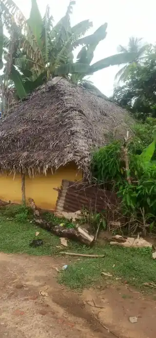 Arulmigu Vanmeeganatha Samy Temple, Varambiam - 614715 அருள்மிகு வன்மீகநாதசுவாமி திருக்கோயில், Varambiam - 614715, Thiruvarur - Ancient Temple Architecture and History Image 4