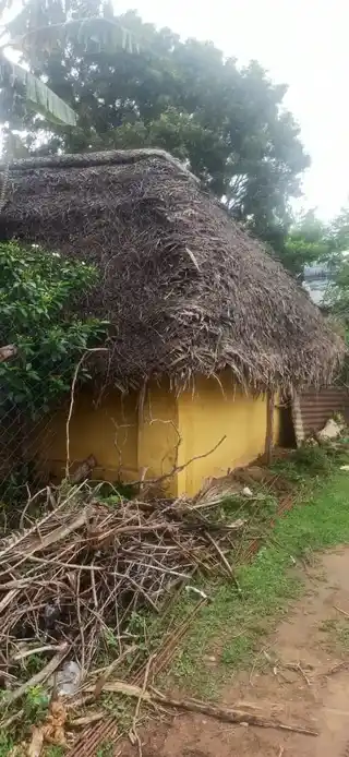 Arulmigu Vanmeeganatha Samy Temple, Varambiam - 614715 அருள்மிகு வன்மீகநாதசுவாமி திருக்கோயில், Varambiam - 614715, Thiruvarur - Ancient Temple Architecture and History Image 5