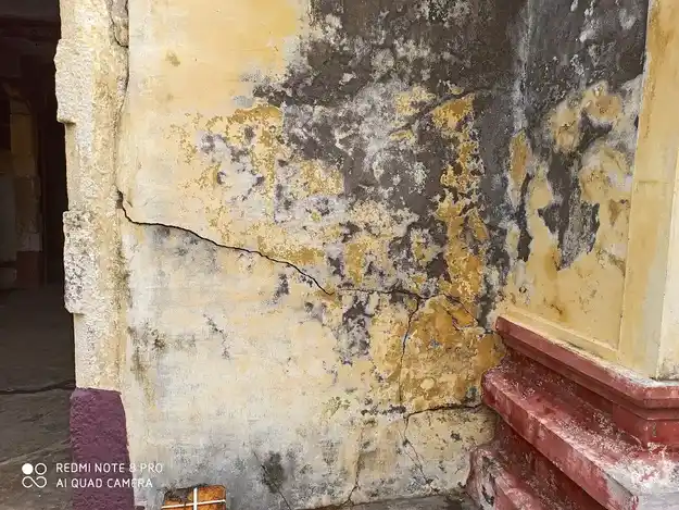 Arulmigu Vanmeeganathaswamy Temple, Dheepambalpuram - 614401 அருள்மிகு வன்மீகநாதசுவாமி திருக்கோயில், தீபாம்பாள்புரம் - 614401, Thanjavur - Ancient Temple Architecture and History Image 10