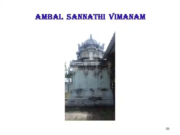 Arulmigu Vanmeeganathaswamy Temple, Seeyaththamangai - 609702 அருள்மிகு வன்மீகநாதசுவாமி திருக்கோயில், சீயாத்தமங்கை - 609702, Nagapattinam - Ancient Temple Architecture and History Image 6
