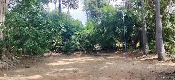 Arulmigu Vannaiyankaruppar Temple, Sethurappatti - 622002 அருள்மிகு வன்னையன் கருப்பர் திருக்கோயில், Sethurappatti - 622002, Pudukkottai - Ancient Temple Architecture and History Image 2