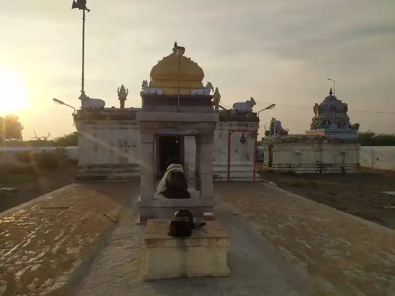 Arulmigu Vannibureeswarar Temple, Paravai - 621717 அருள்மிகு வன்னிபுரீஸ்வரர் திருக்கோயில், Paravai - 621717, Perambalur - Ancient Temple Architecture and History Image 4