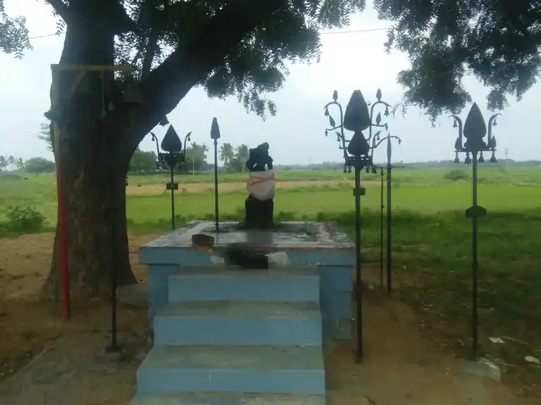 Arulmigu Vanniyadikkaruppar Temple, Vellamuthuppatti - 622102 அருள்மிகு வன்னியடிக்கருப்பர் திருக்கோயில், Vellamuthuppatti - 622102, Pudukkottai - Ancient Temple Architecture and History Image 5