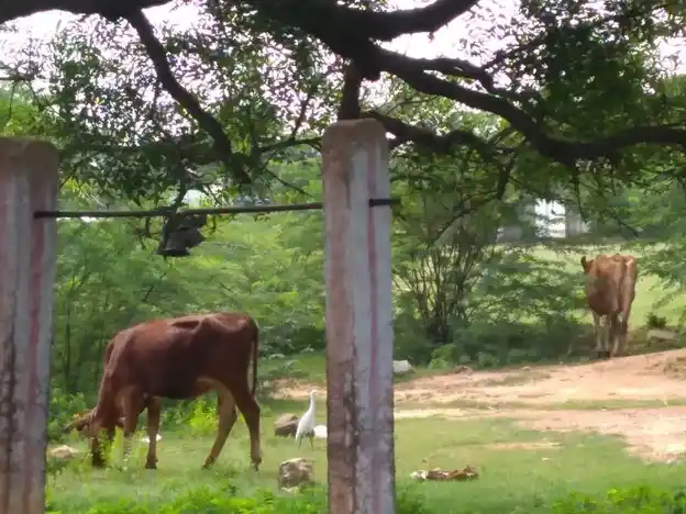 Arulmigu Vanniyaperumal Temple, J.Alangulam, J.Alangulam - 625514