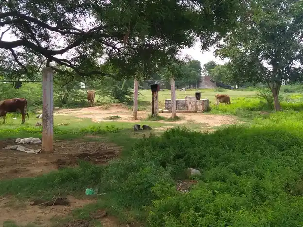 Arulmigu Vanniyaperumal Temple, J.Alangulam, J.Alangulam - 625514 அருள்மிகு வன்னிய பெருமாள் திருக்கோயில், J.Alangulam, J.Alangulam - 625514, Madurai - Ancient Temple Architecture and History Image 3