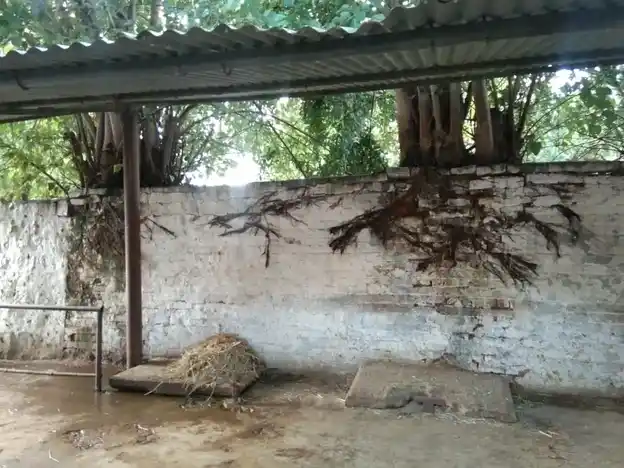 Arulmigu Varadaraja Perumal Temple, Jak Agraharam, Arcot - 632503 அருள்மிகு வரதராஜ பெருமாள் திருக்கோயில், ஜாக் அக்ரஹாரம், ஆற்காடு - 632503, Ranipet - Ancient Temple Architecture and History Image 4