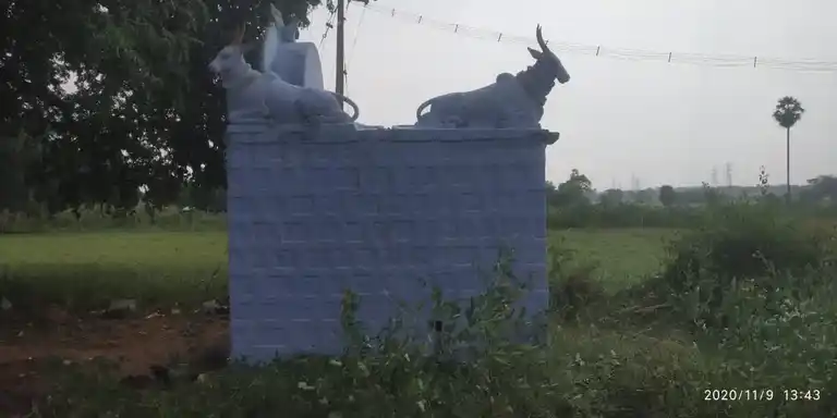 Arulmigu Varadaraja Perumal Temple, Near Pennagaram Court, Paruvathanahalli - 636810 அருள்மிகு வரதராஜப் பெருமாள் திருக்கோயில், Near Pennagaram Court, Paruvathanahalli - 636810, Dharmapuri - Ancient Temple Architecture and History Image 3