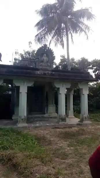 Arulmigu Varadaraja Perumal Temple, Padhiri - 603201 அருள்மிகு வரதராஜப்பெருமாள் திருக்கோயில், பாதிரி - 603201, Chengalpattu - Ancient Temple Architecture and History Image 2