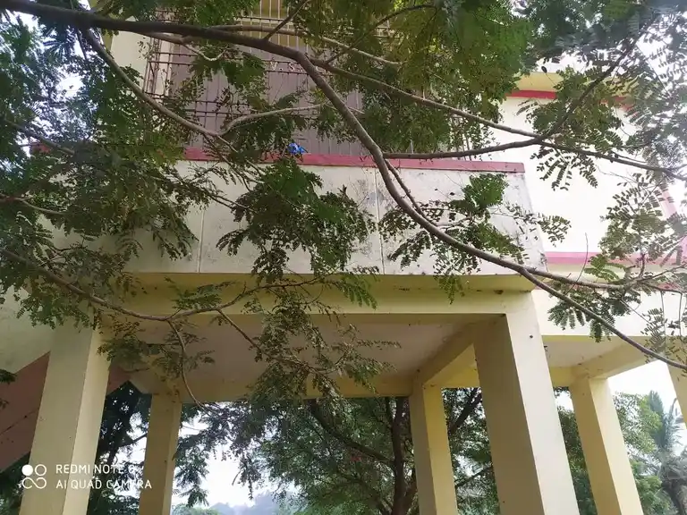 Arulmigu Varadaraja Perumal Temple, Varadaraja Perumal Templearea, Othappai - 602001 Arulmigu Varadaraja perumal Temple, Varadaraja Perumal Templearea, Othappai - 602001, Tiruvallur - Ancient Temple Architecture and History Image 4