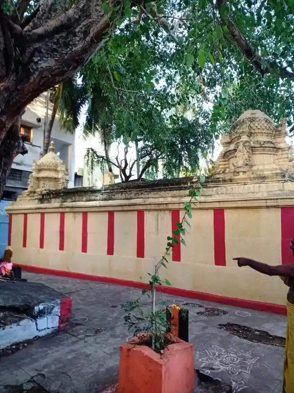 Arulmigu Varadaraja Perumal Temple, Vellore - 632007 அருள்மிகு வரதராஜப்பெருமாள் திருக்கோயில், வேலூர் - 632007, Vellore - Ancient Temple Architecture and History Image 8