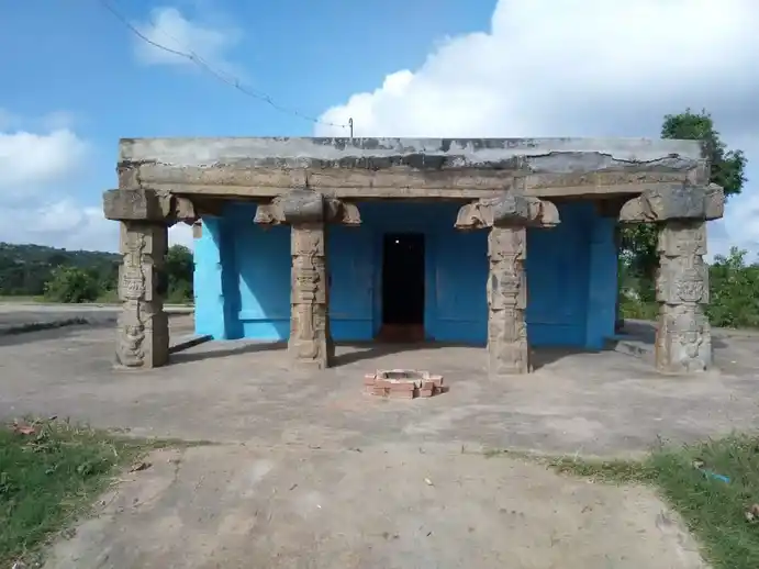 Arulmigu Varadarajan Temple, Pahtakotta - 635119 Temple