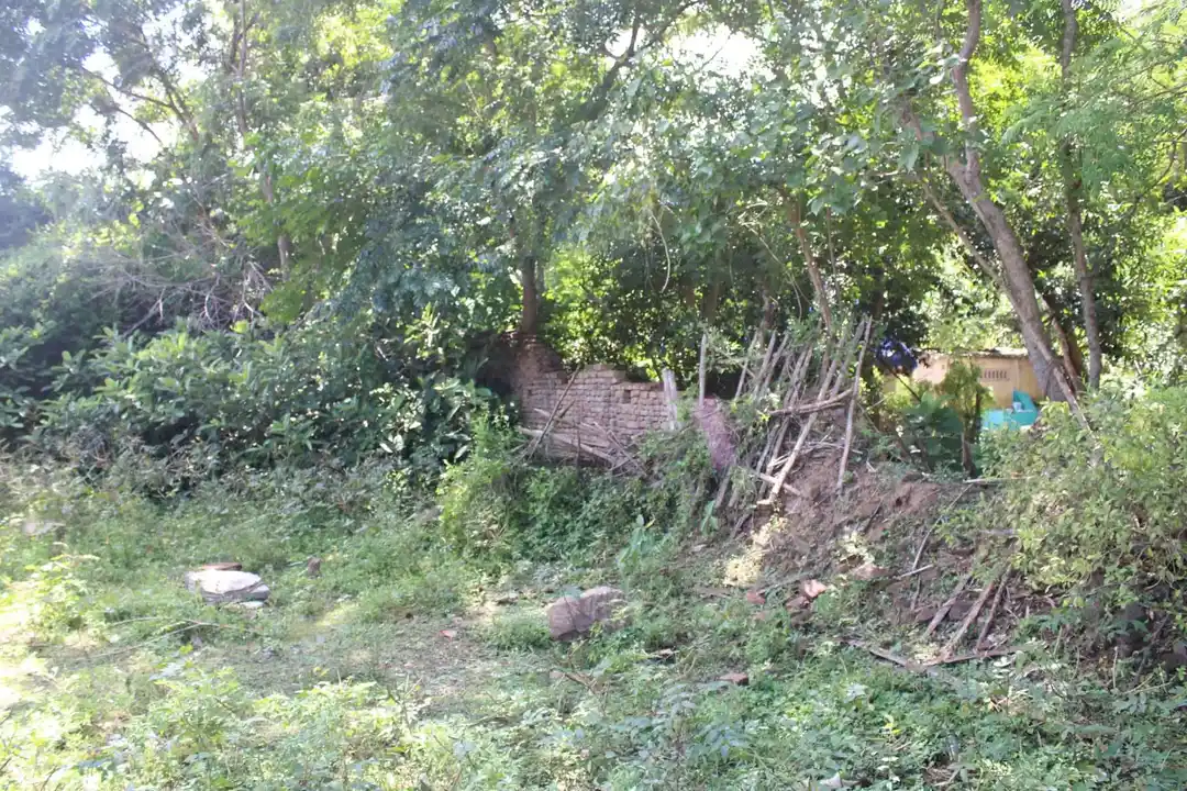 Arulmigu Varadarajaperumal Temple, Kottur - 609804 அருள்மிகு வரதராஜப்பெருமாள் திருக்கோயில், Kottur - 609804, Thanjavur - Ancient Temple Architecture and History Image 3