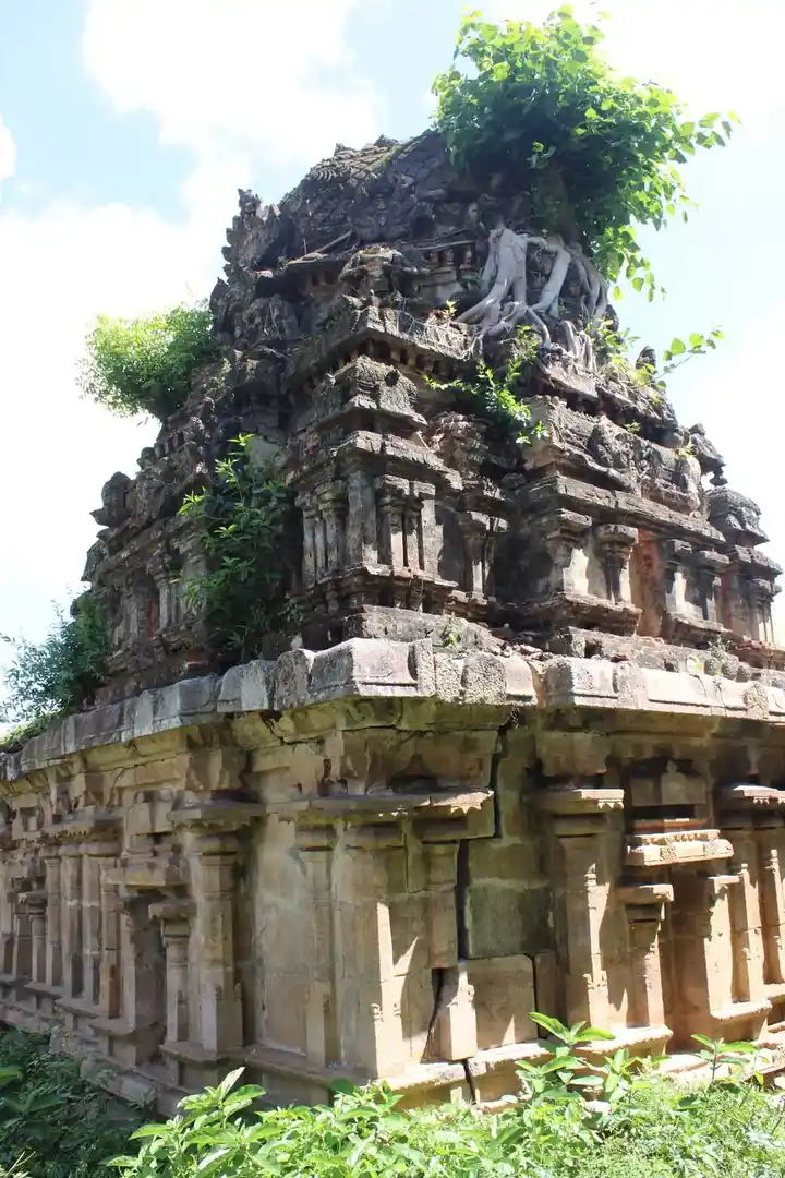 Arulmigu Varadarajaperumal Temple, Kottur - 609804 அருள்மிகு வரதராஜப்பெருமாள் திருக்கோயில், Kottur - 609804, Thanjavur - Ancient Temple Architecture and History Image 4