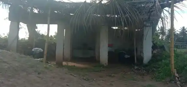 Arulmigu Varadarajaswamy Temple, Aleseebam - 635119 Temple