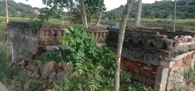 Arulmigu Varadarajaswamy Temple, Aleseebam - 635119 Arulmigu Varadarajaswamy Temple, Aleseebam - 635119, Krishnagiri - Ancient Temple Architecture and History Image 3