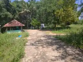 Arulmigu Varadha Muneeswarar Temple, Edaiyamalur - 630562 அருள்மிகு வரதமுனீஸ்வரர் திருக்கோயில், Edaiyamalur - 630562, Sivagangai - Ancient Temple Architecture and History Image 6