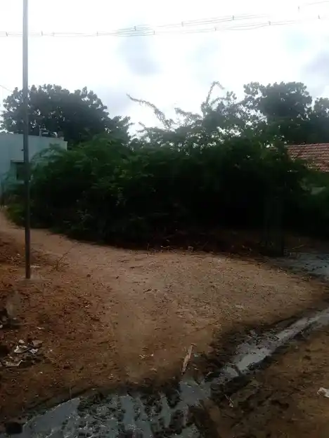 Arulmigu Varadha Raja Perumal Temple, Melmandai - 628901 அருள்மிகு வரதராஜப்பெருமாள் திருக்கோயில், Melmandai - 628901, Thoothukudi - Ancient Temple Architecture and History Image 2