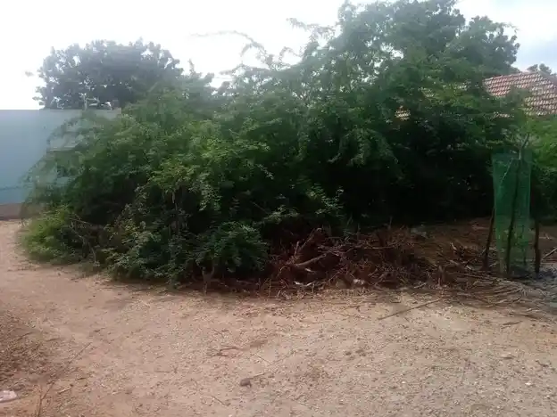 Arulmigu Varadha Raja Perumal Temple, Melmandai - 628901 அருள்மிகு வரதராஜப்பெருமாள் திருக்கோயில், Melmandai - 628901, Thoothukudi - Ancient Temple Architecture and History Image 3