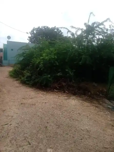 Arulmigu Varadha Raja Perumal Temple, Melmandai - 628901 அருள்மிகு வரதராஜப்பெருமாள் திருக்கோயில், Melmandai - 628901, Thoothukudi - Ancient Temple Architecture and History Image 4