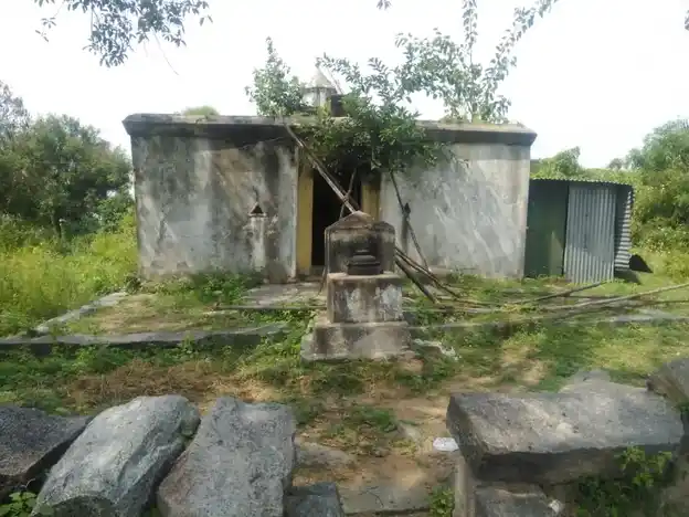 Arulmigu Varadharaja Perumal and Agastheeswarar Temple, Veeranaamoor - 604206 அருள்மிகு வரதராஜப்பெருமாள் மற்றும் அகஸ்தீஸ்வரர் திருக்கோயில், வீரனாமூர் - 604206, Viluppuram - Ancient Temple Architecture and History Image 3