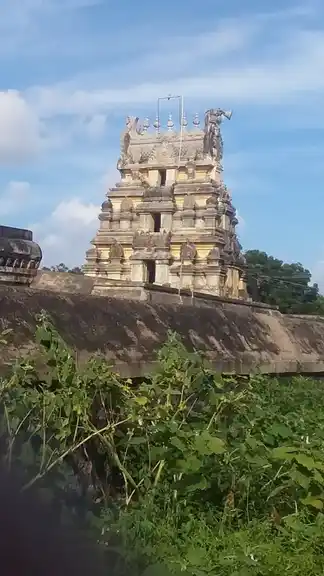 Arulmigu Varadharaja Perumal Temple, Anniyur - 605202 அருள்மிகு வரதராஜப் பெருமாள் திருக்கோயில், அன்னியூர் - 605202, Viluppuram - Ancient Temple Architecture and History Image 3