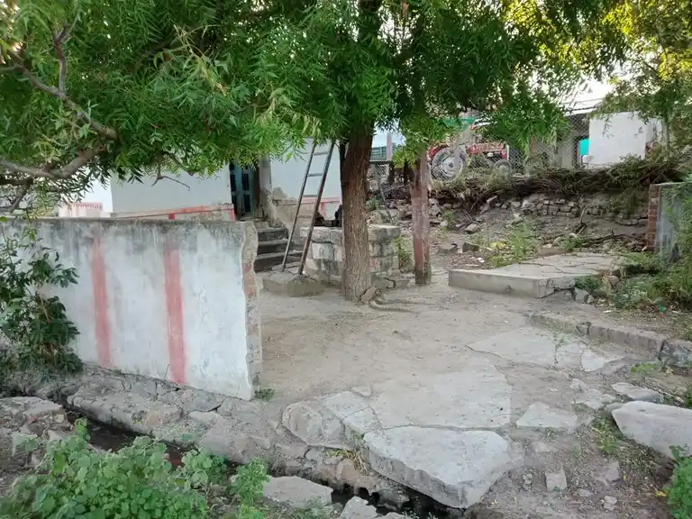 Arulmigu Varadharaja Perumal Temple, Boothalapuram - 628907 அருள்மிகு வரதராஜப்பெருமாள் திருக்கோயில், Boothalapuram - 628907, Thoothukudi - Ancient Temple Architecture and History Image 5