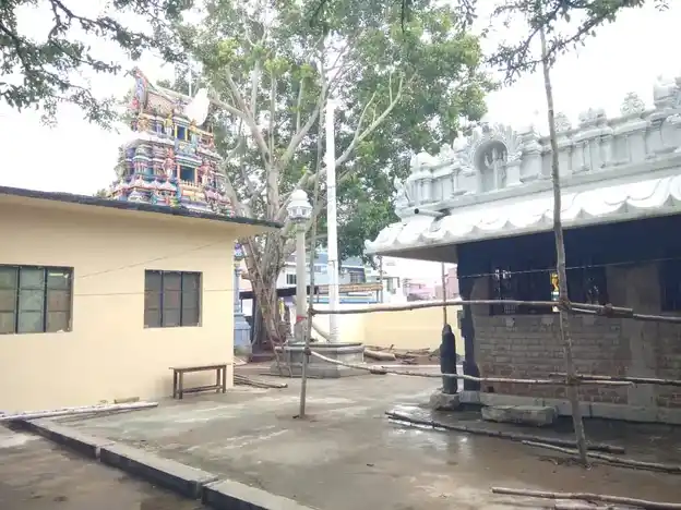Arulmigu Varadharaja Perumal Temple, Eduthavaainaththam - 606207 அருள்மிகு வரதராஜப்பெருமாள் திருக்கோயில், Eduthavaainaththam - 606207, Kallakurichi - Ancient Temple Architecture and History Image 4