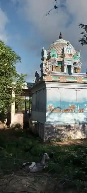 Arulmigu Varadharaja Perumal Temple, Kadagam - 609403 அருள்மிகு வரதராஜபெருமாள் திருக்கோயில், Kadagam - 609403, Thiruvarur - Ancient Temple Architecture and History Image 4