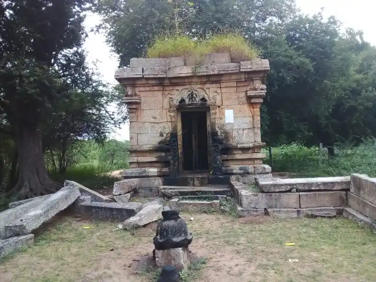 Arulmigu Varadharaja Perumal Temple, Keelathaniyam - 622002 அருள்மிகு வரதராஜப்பெருமாள் திருக்கோயில், Keelathaniyam - 622002, Pudukkottai - Ancient Temple Architecture and History Image 3